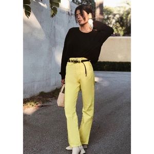 NWT Agolde 90’s Pinch Waist High Rise Straight Jeans